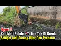 Download Lagu Ngeri‼️Kali Mati Puluhan Tahun Tak Di Keruk Sampai Jadi Sarang Ular Berbisa Dan Predator