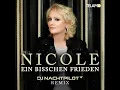 Ein bisschen Frieden (DJ Nachtpilot Remix)