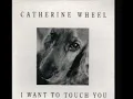 Catherine Wheel - I Want To Touch You