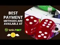 Payment Methods Available on Weltbet Casino Skrill Neteller WebMoney Bitcoin Cash Ethereum Klarna