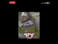 Bloodhound Lil Jeff gunned down on camera