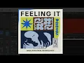 Tim Engelhardt, Maga, Sean Doron - Feeling It (Logic Pro Remake)