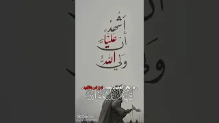 هو ولي الله صحنا والاسد الغالب حيدر اكسبلور 