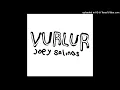 Download Lagu JOEY SALINAS - Vurlur (audio)
