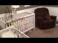 4277 Clarks Hill Dr - 5BTH 2700SF