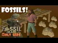One line of text that changes everything Fossil island only