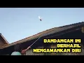 Download Lagu Bandangan ini berhasil mengamankan diri__tulup bandangan merpati lombok