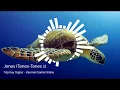 Download Lagu Jenes Tēp | Tenes-Tenes 1