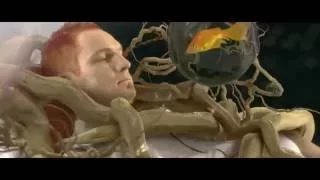 the parlotones stars fall down official music video 