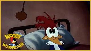 woody woodpecker the coo coo bird full episodes