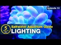 See how easy reef lighting a saltwater aquarium can be Selecting the right reef LED solution