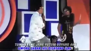 cenat cenut arif citenk reny music lagu banyuwangi