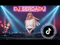 INDO DUGEM PARTY TERBARU VIRAL 2025 | DJ DANGDUT KOPLO | REMIX DANGDUT EDM MUSIK