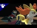 Pokemon Braixen And Greninja