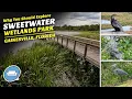 Sweetwater Wetlands Park - A Manmade Home for Birds Gators and More in Gainesville Florida