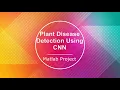 CNN Based Plant Disease Detection Using Matlab Project With Source Code Leaf Disease Classification