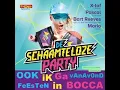 Lagu DJ Mario en Live du Bocca   De Schaamteloze Party le 24/05/2017