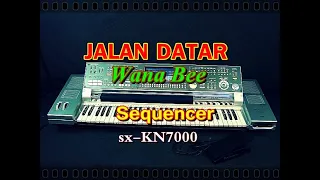 Download Janlan Datar - Wanna Bee (karaoke) /sx-KN7000 MP3