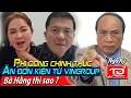 Download Lagu Phidong chính thức nhận đơn kiện từ Vingroup, ai tiếp theo ? Ngô kỷ nói gì nếu Bà Hằng bị kiện ?