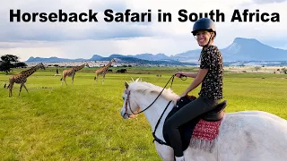 This Has To Be The Best Ways To Do A Safari In South Africa