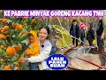 Download Lagu BEGINILAH PEMBUATAN MINYAK GORENG KACANG TANAH DI CHINA,LALU PANEN BUAH BUAHAN