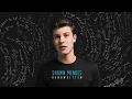 Shawn Mendes - Never Be Alone (Official Audio)