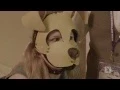 Human Dogs At The Dominatrix Convention