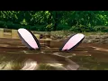 MMD quicksand