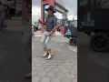 Download Lagu Tem Hora Que Dá Vontade de Bater no Piauí . Forró Bom