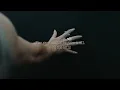 Ellie Goulding - Destiny (Lyric Video)
