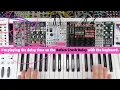 An intro to Stolperbeats by Making Sound Machines // Dilla style humanised beat sequencing (+ more!)