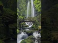 Download Lagu nuansa air terjun dan suara burung musik relaksasi pengantar tidur