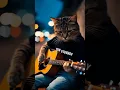 Download Lagu Ai Video | cat with his acoustic #ai #automobile #vibes #akustik #pengamen #catai
