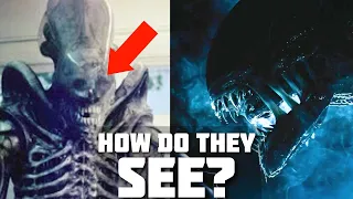 How do Xenomorphs SEE - Alien Romulus