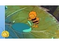 Lagu Maya en de Mieren 🐝 Maya de Bij | Kinderseries