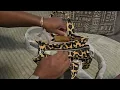 Coach leopard print cargo tote unboxing