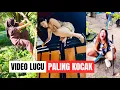 Download Lagu TINGKAH KONYOL PALING KOCAK | VIDEO LUCU BIKIN NGAKAK #funnyvideo 