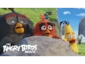 Video di THE ANGRY BIRDS MOVIE -  Official Theatrical Trailer (HD)
