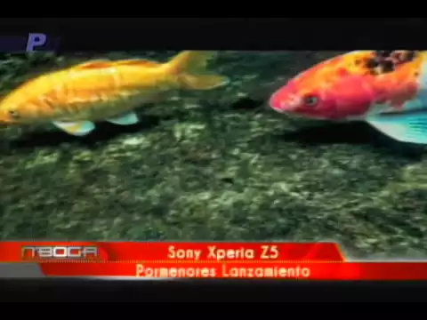 Sony Xperia Z5 pormenores lanzamiento