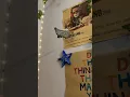 Sea room decor