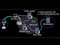 Clase 134 - Usando TOR desde Python
