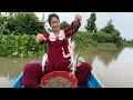 Download Lagu Giăng Câu Mùa Mưa Mà Như Hốt Cá – Gỡ Không Kịp Thở - #65