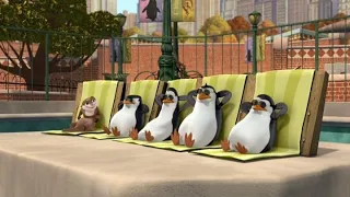 بطاريق مدغشقر حلقه الجاسوس 