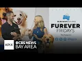 SF SPCA offers name your price adoption fee promotion during August