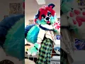 Lagu Geli!! Finished commission #fursuit #furry