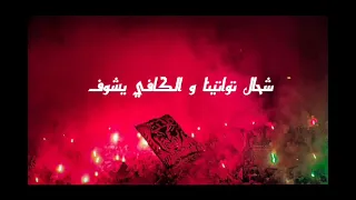 جديد توالف بلاير VIDI 