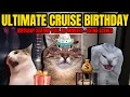 CAT MEMES ULTIMATE BIRT AY CRUISE 30 MINUTE COMPILATION