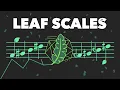 Lagu leaf music theory goes wild