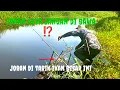 Download Lagu Fishing for Toman, if you're a little careless, the rod will be dragged away and almost disappear...