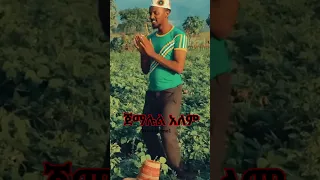 ደርሷል መውሊዱ Shorts Menzuma Neshida Foryou Islamicmusic 